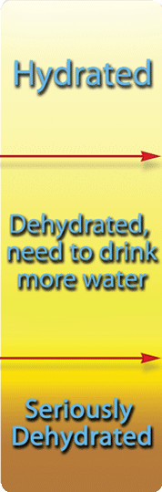 Urine Chart