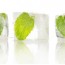 Ways with Water for Spring…..Spring has sprung, the grass has ris’ ……