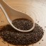 Hydration, Water and … Chia Seeds?