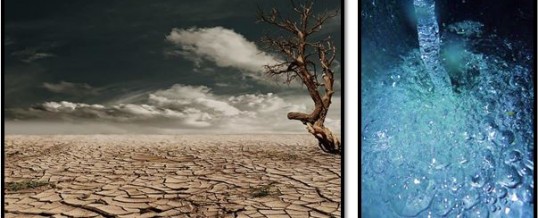 Life Saving Water