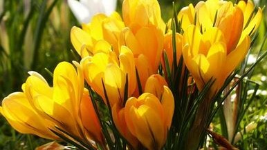 Ways with Water – Spring’s upon us!