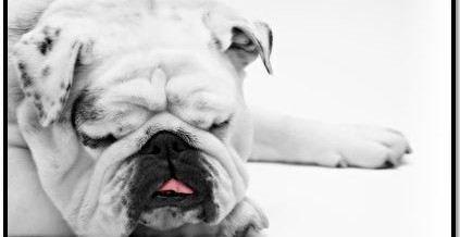 Water Power or How Power Naps can get you through the Day