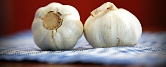 From Nature – Garlic