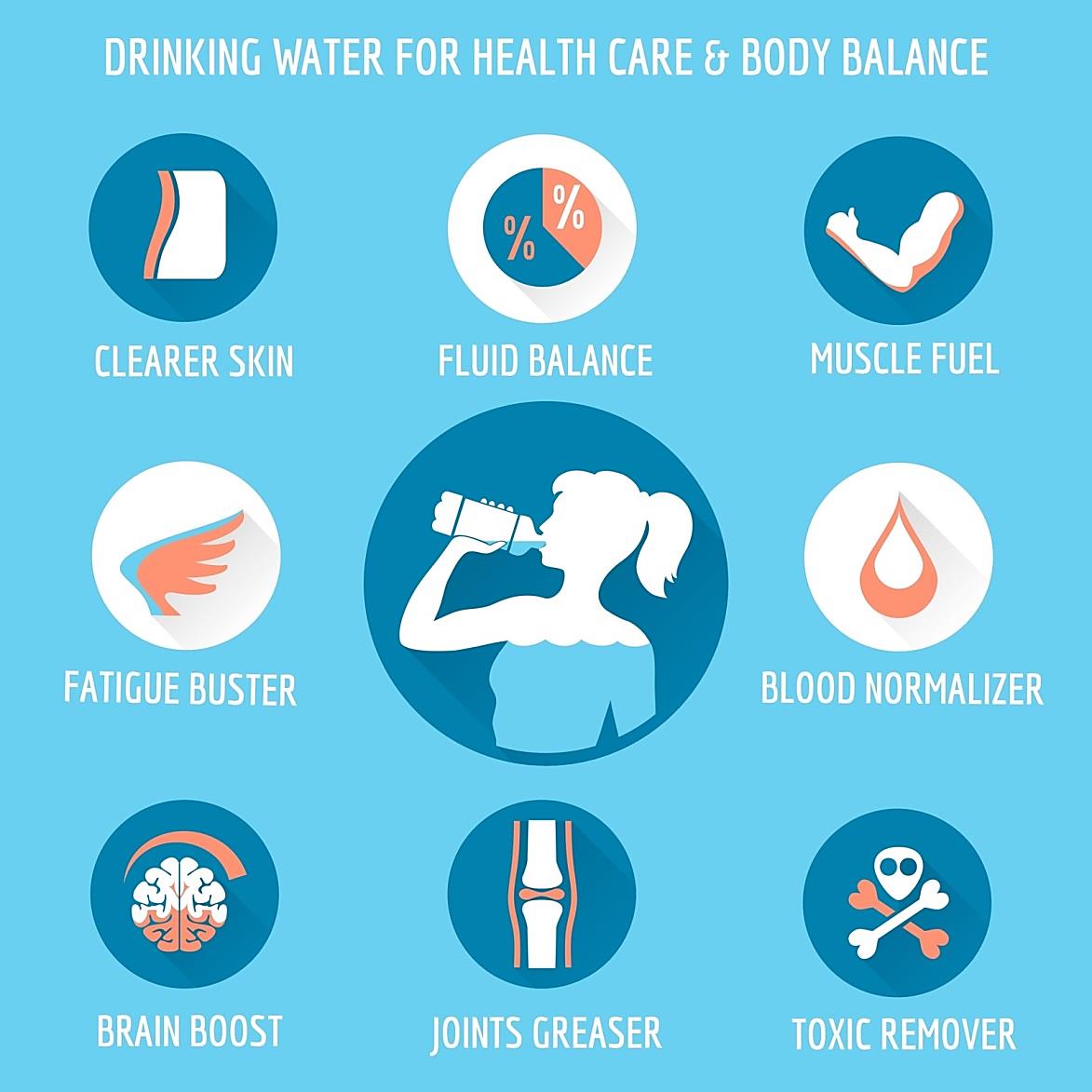 Water, your organs and your health