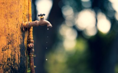 Water Crises – All Year Round