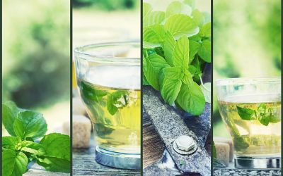 Water Cooler Health – is Mint good for You?