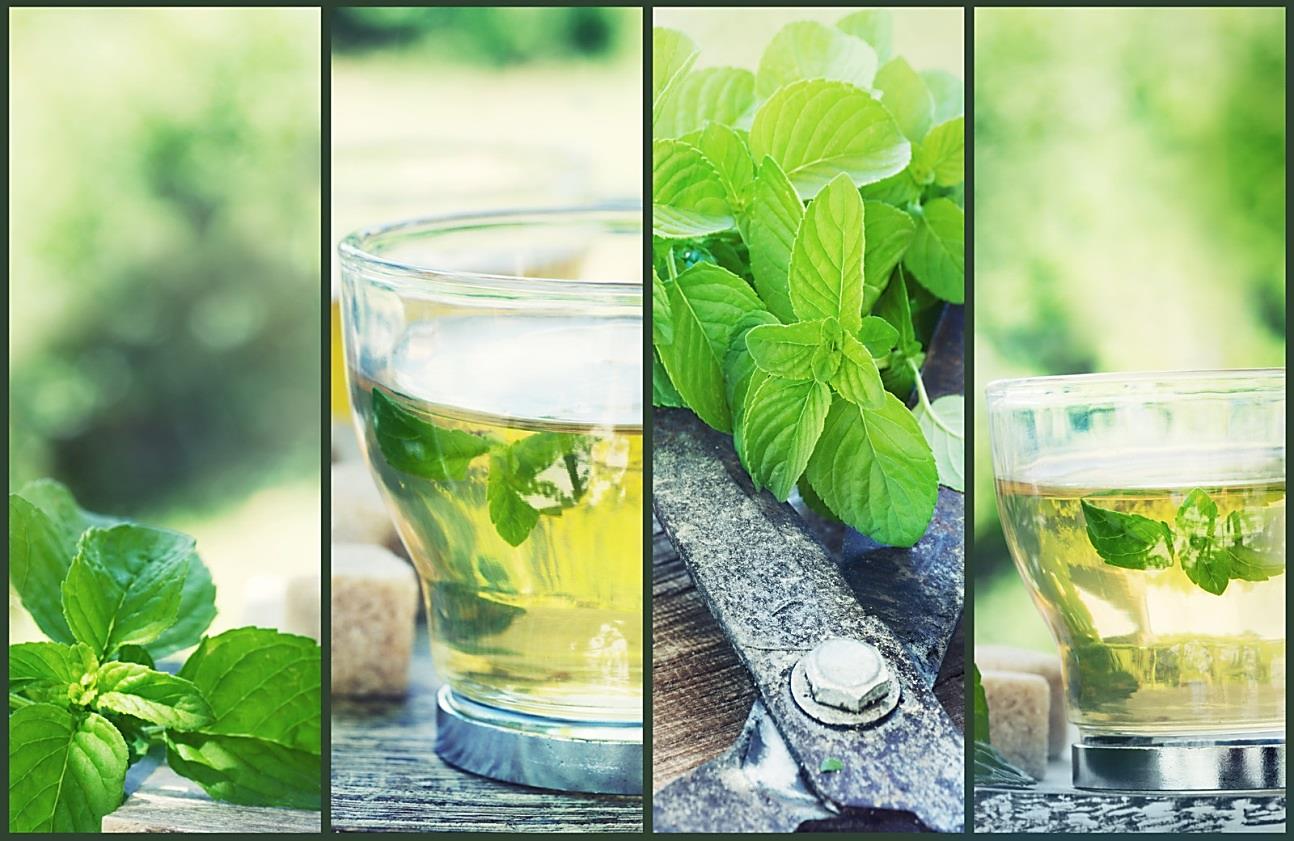 is mint good for you, water cooler, water health