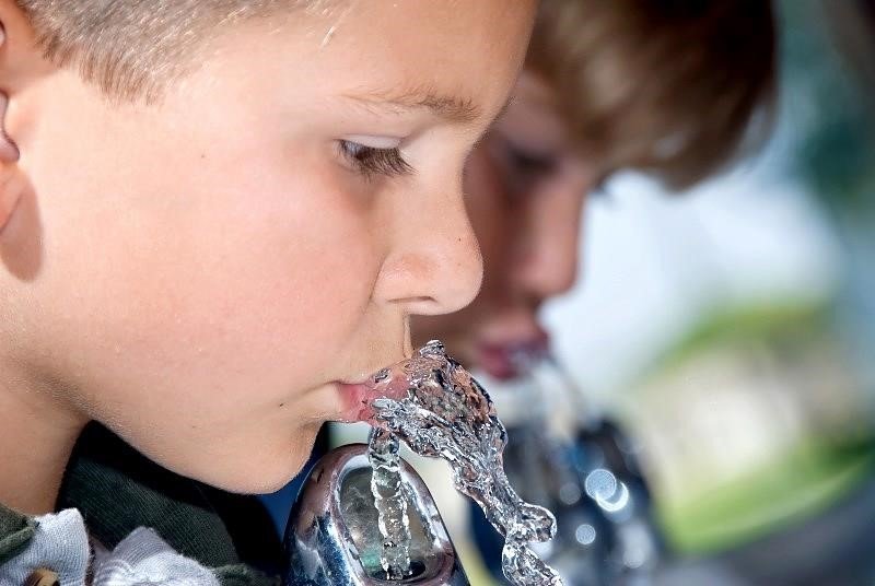 drinking water fountains, school water