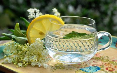 Food & Drink at the Water Cooler: The Elderflower