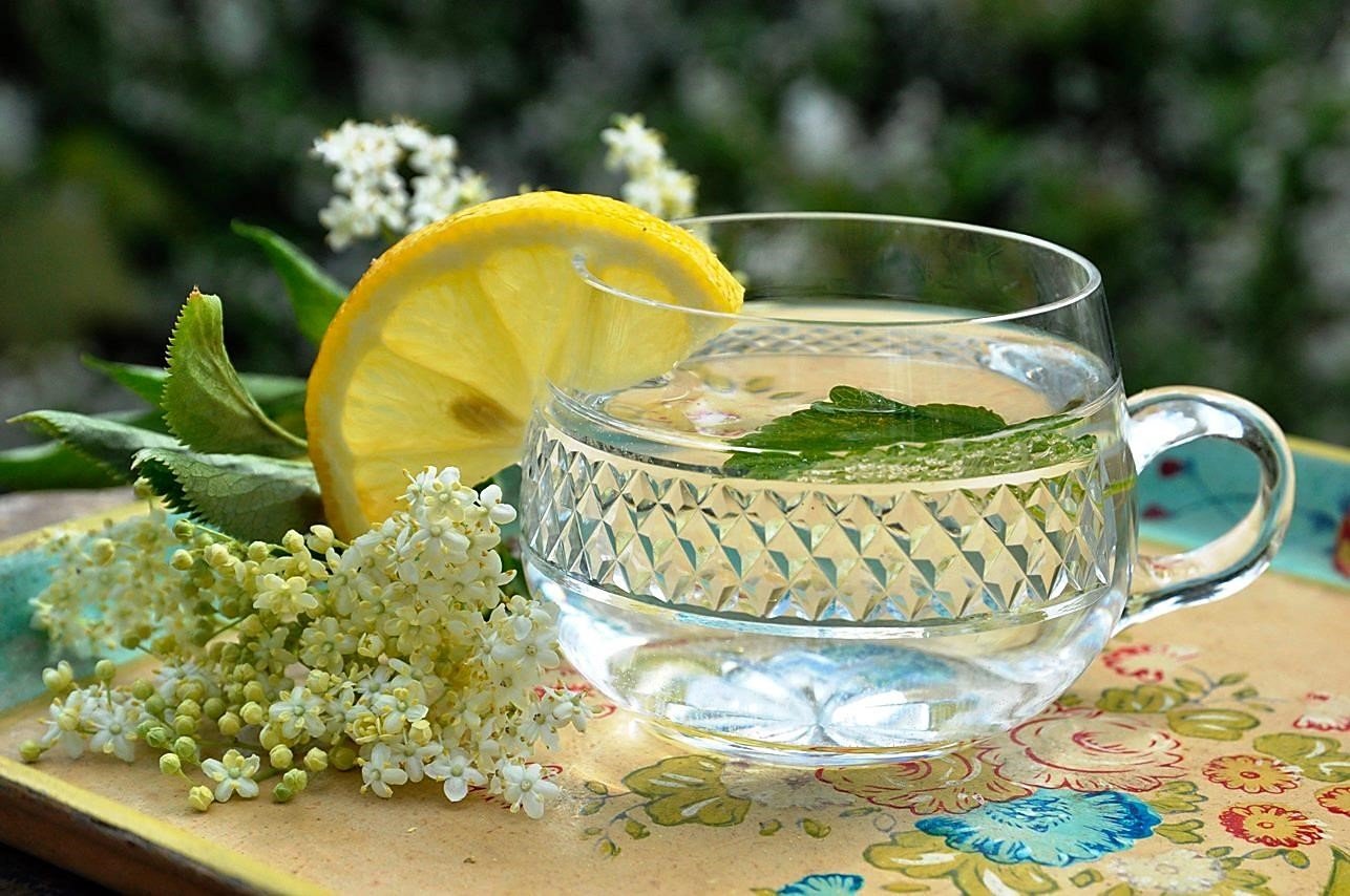 Food & Drink at the Water Cooler: The Elderflower