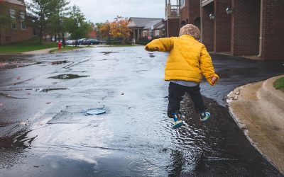 The Rain and Drinking Water Polarity