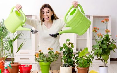 Hot Weather Hacks: Six Smart Ways to Conserve Water