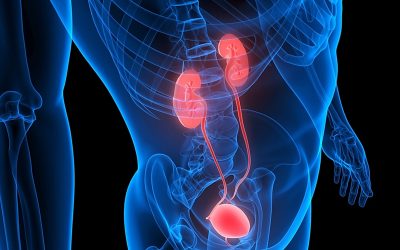 Bottled Water, Bladders & Better Health