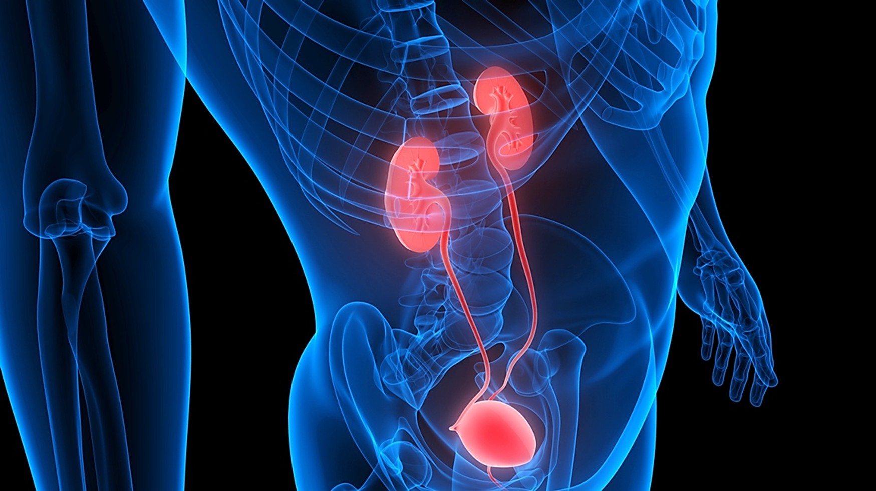Bottled Water, Bladders & Better Health