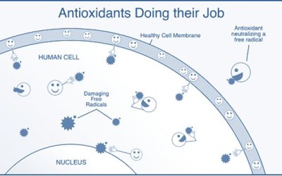 Is Water an Antioxidant? Here’s What’s Really Going On