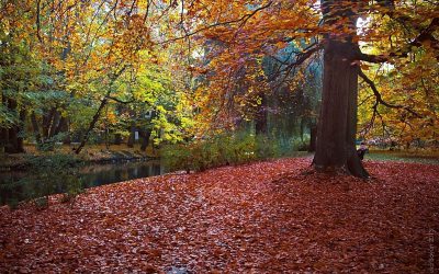 Seasons at the Water Cooler – Autumn