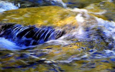 Water is the Driver of Nature