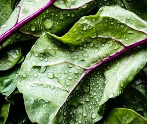 Food at the Water Cooler: Be Like Popeye (Eat Your Spinach)