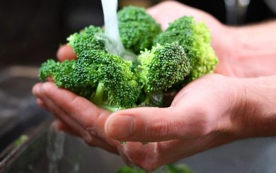 Food at the Water Cooler: The Miniature Green Forest