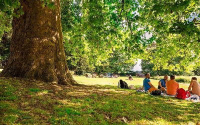 Top Up and Cool Down: Water Cooler Tips for Warm Weather