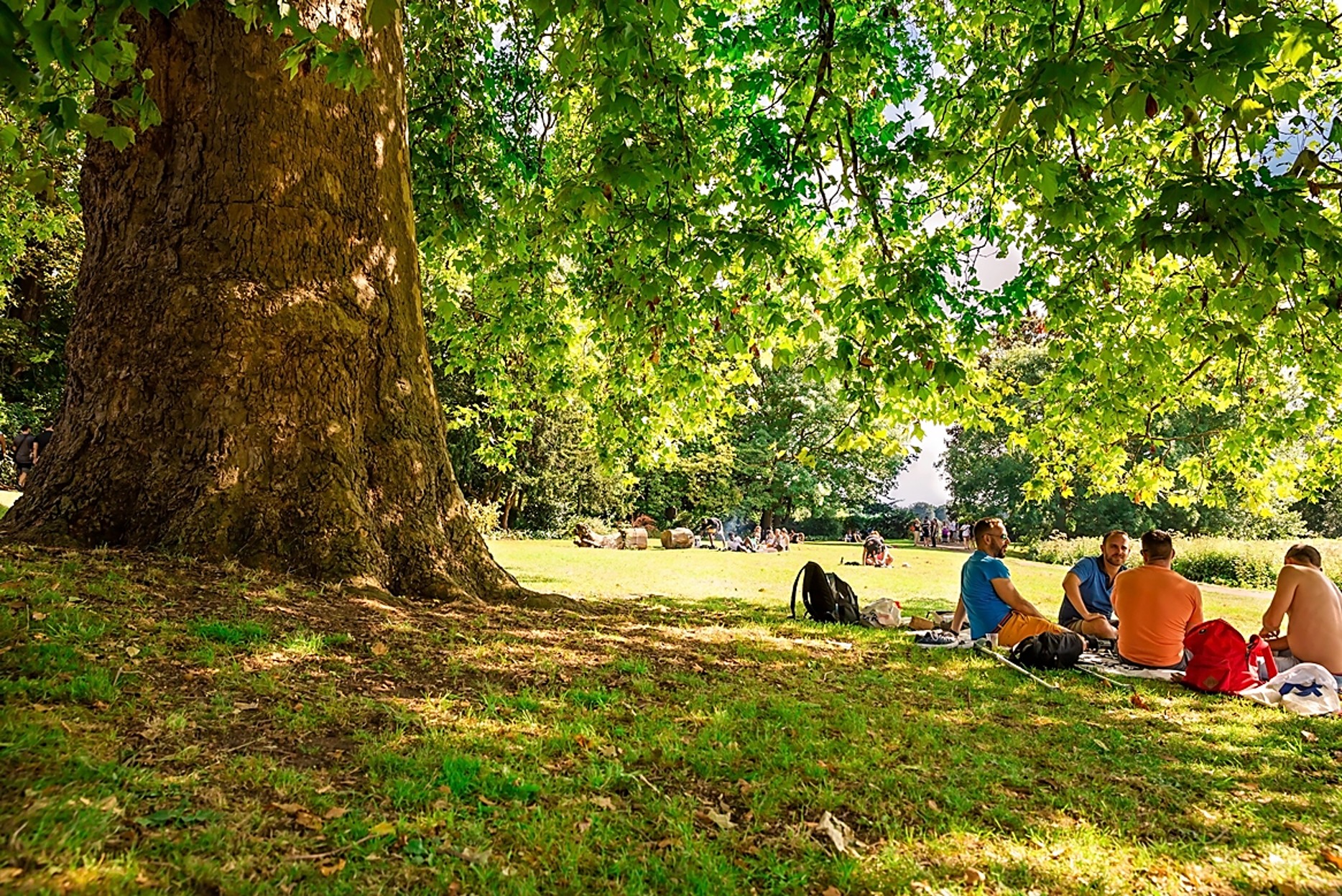 Top Up and Cool Down: Water Cooler Tips for Warm Weather