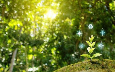 Water Cooler Think Tank: World Nature Conservation Day