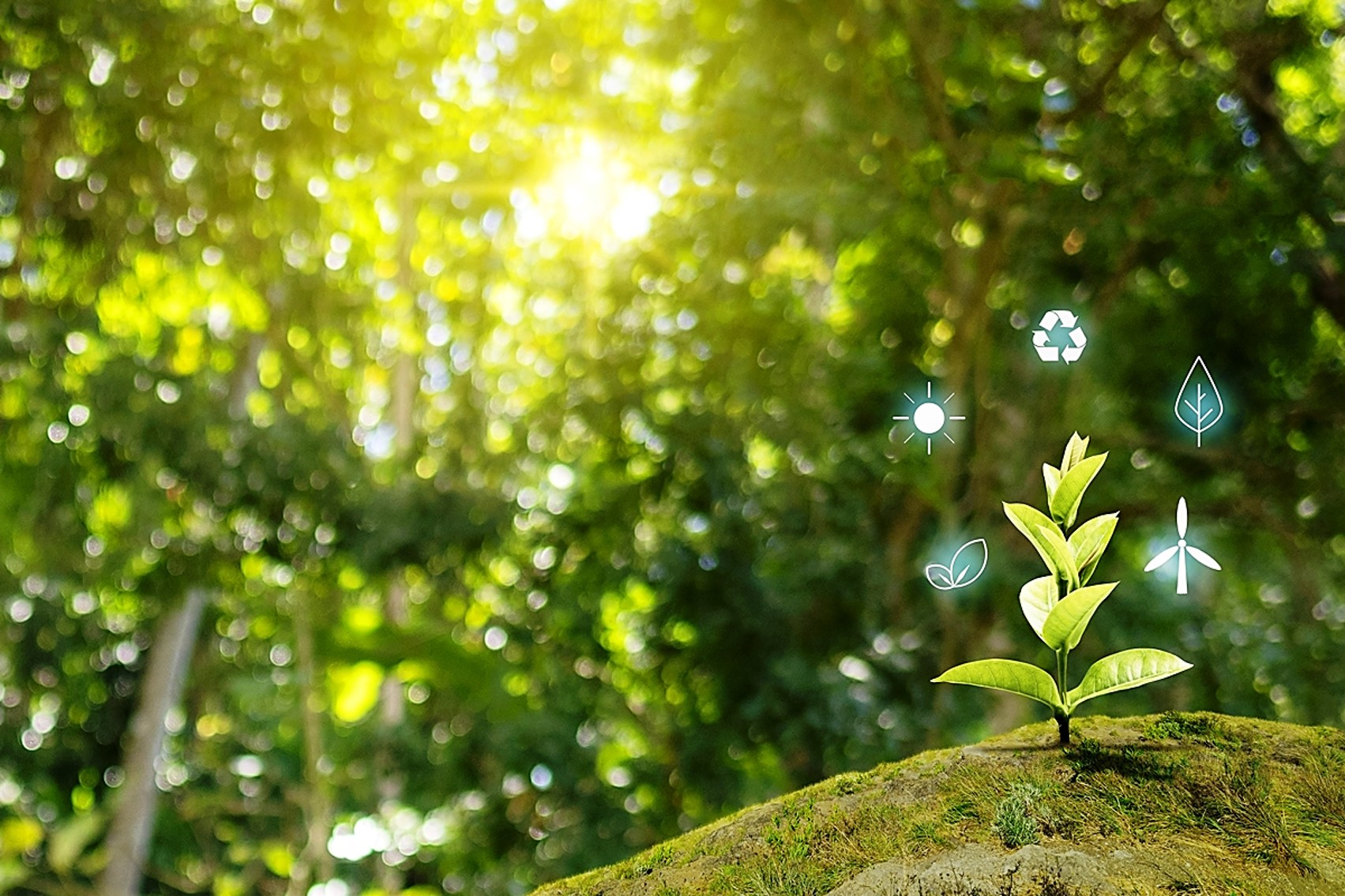 Water Cooler Think Tank: World Nature Conservation Day