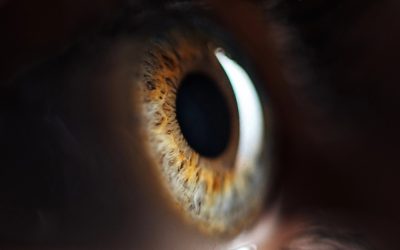 I Can See Clearly Now