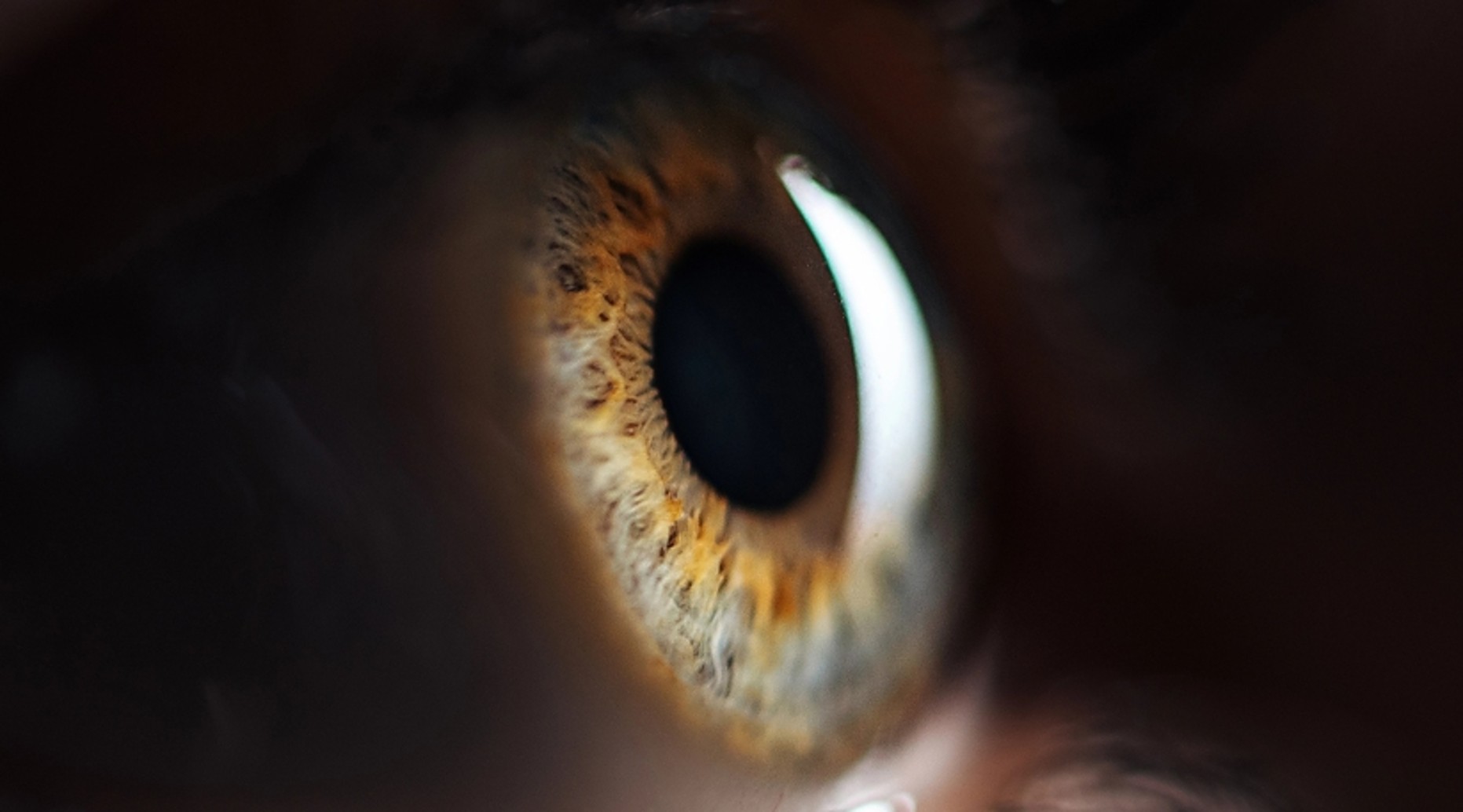 I Can See Clearly Now